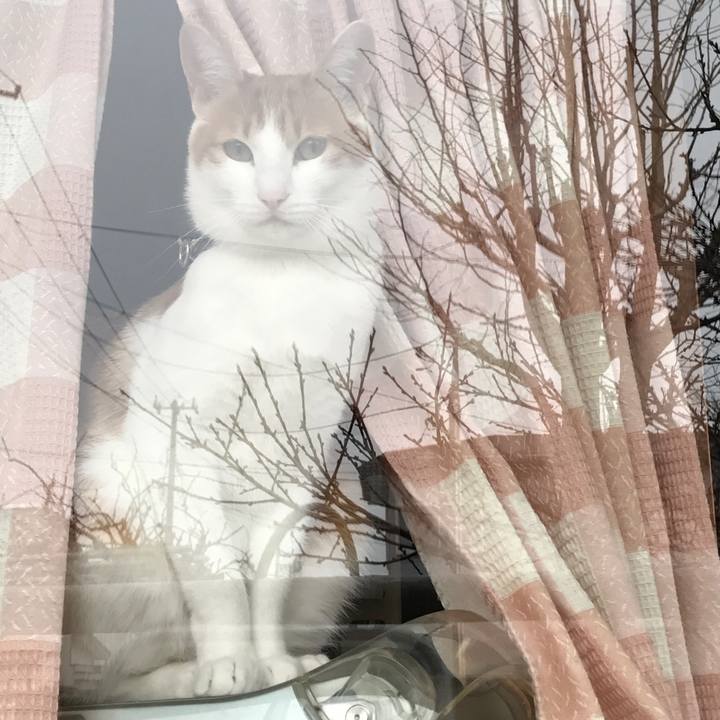 Be72bab4 1e90 4bc7 b72c a7fbc3bd7b50