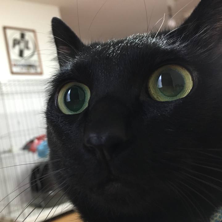 Be738dce 6c62 4449 8b6c 84fcfd4bee68