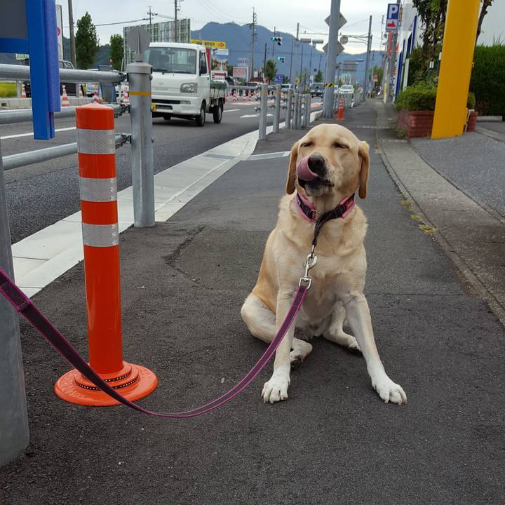 Be73b520 f698 4d08 8bf5 7e9f84852d3b