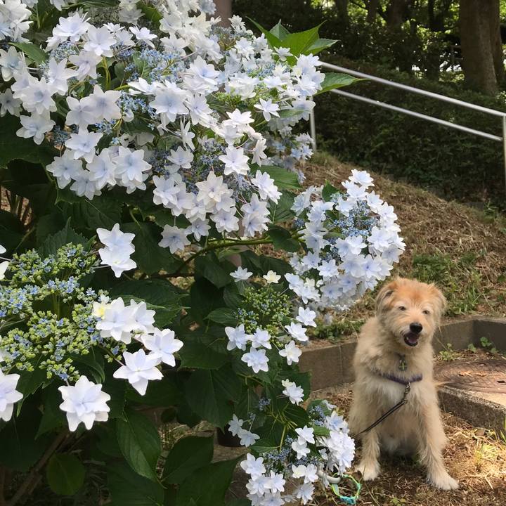 Be73d1b7 e81b 4364 9c79 bcc97296c4cd