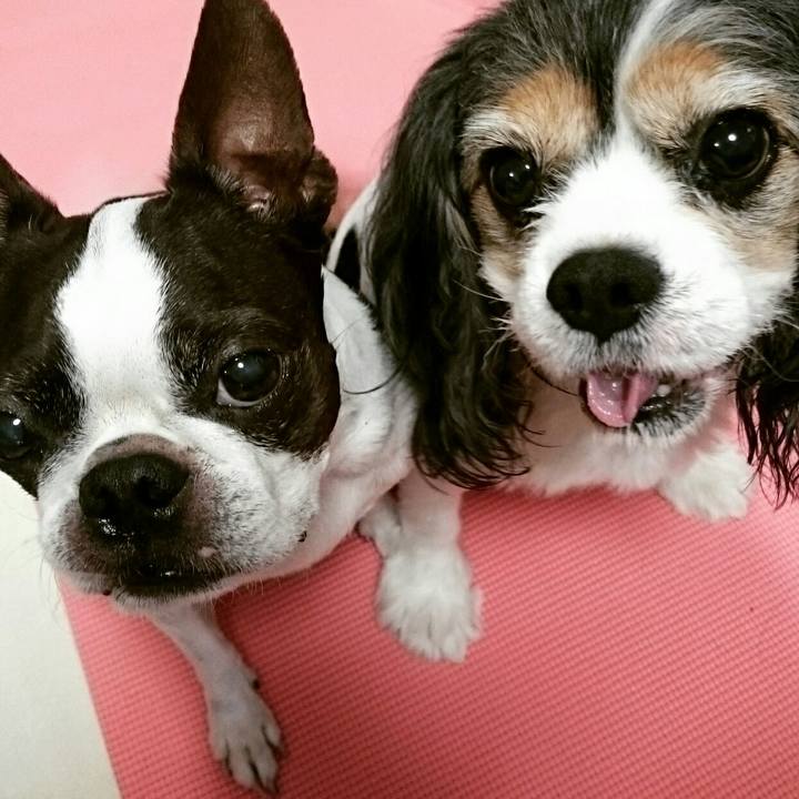 Be73da1c 4eab 4a03 9a59 7ddb8f53d26b