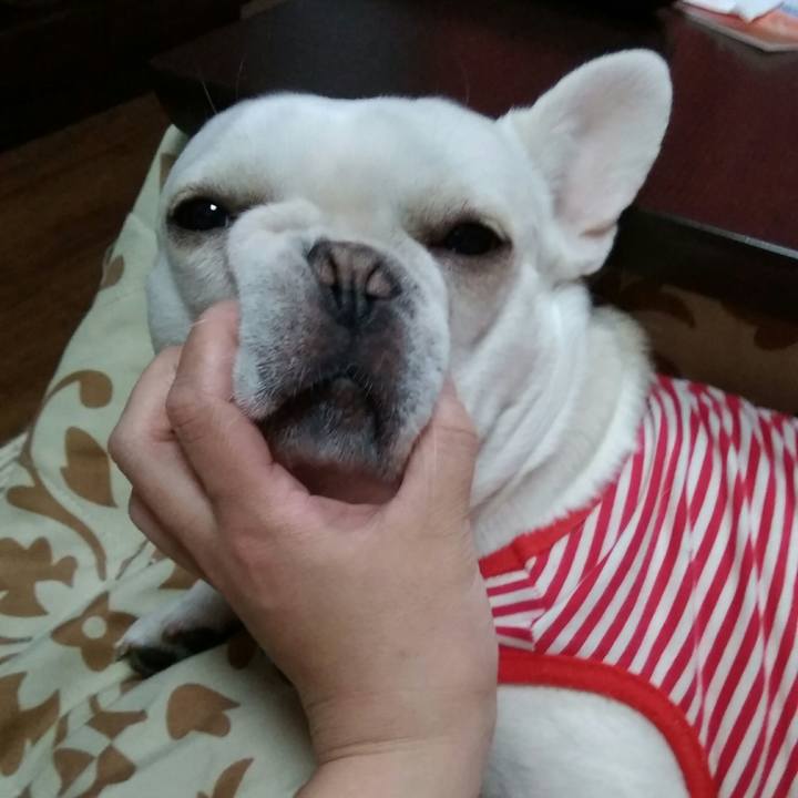 Be740ebe 58c9 42fb ae07 8b23bdea7ab1