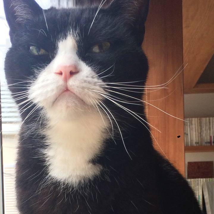 Be75bd7d 822a 4bdf 928c 8c9ec1531515