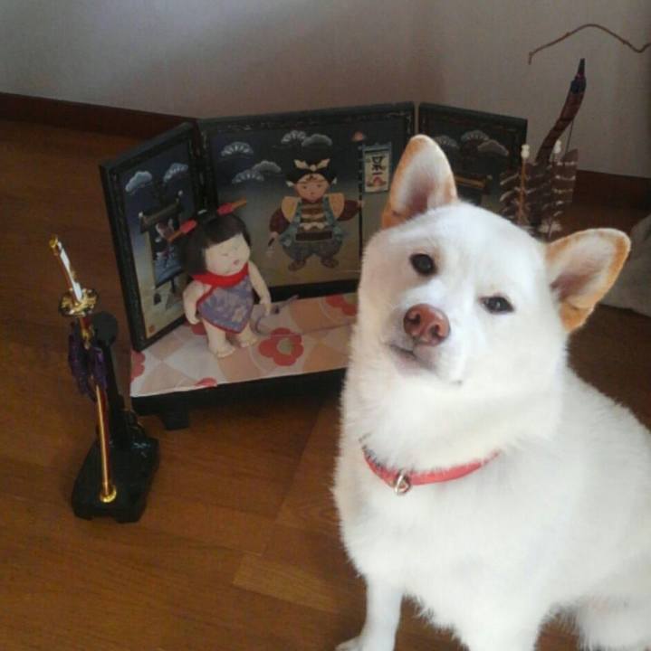 Be75c15f dd1f 4071 9cb6 815b34efd397