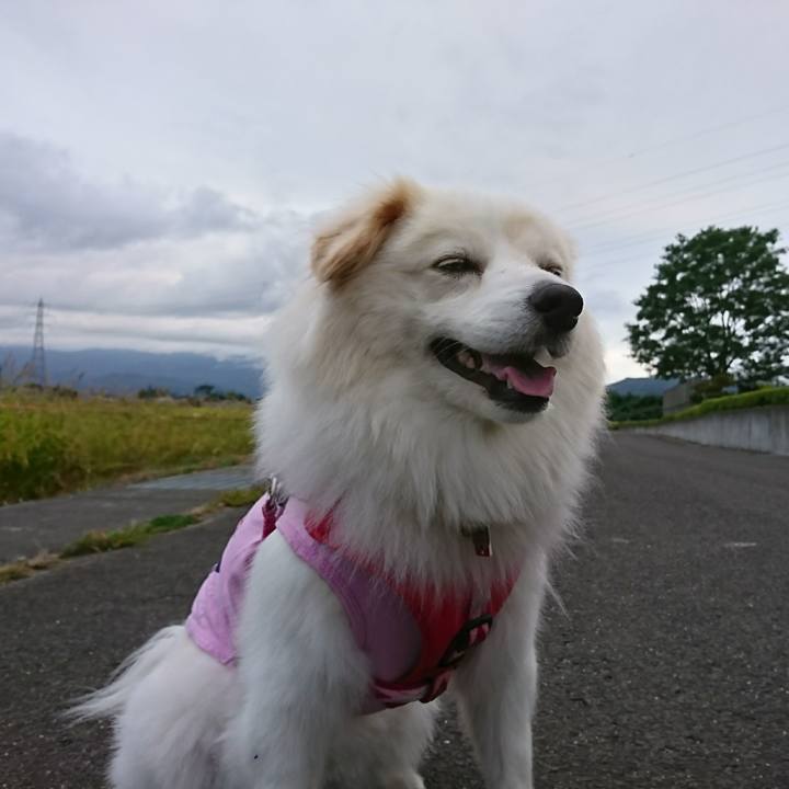 Be75e8ca fd1d 443e 937d 25d7a225d00a