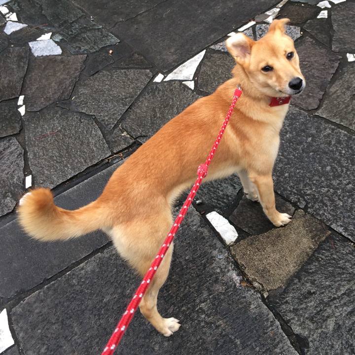 Be77969a c5a8 44a9 b4be 34fd4f9db936