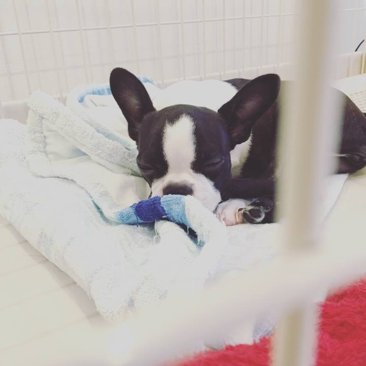 Be780487 33d6 4651 bd4e ebd34b03c53a