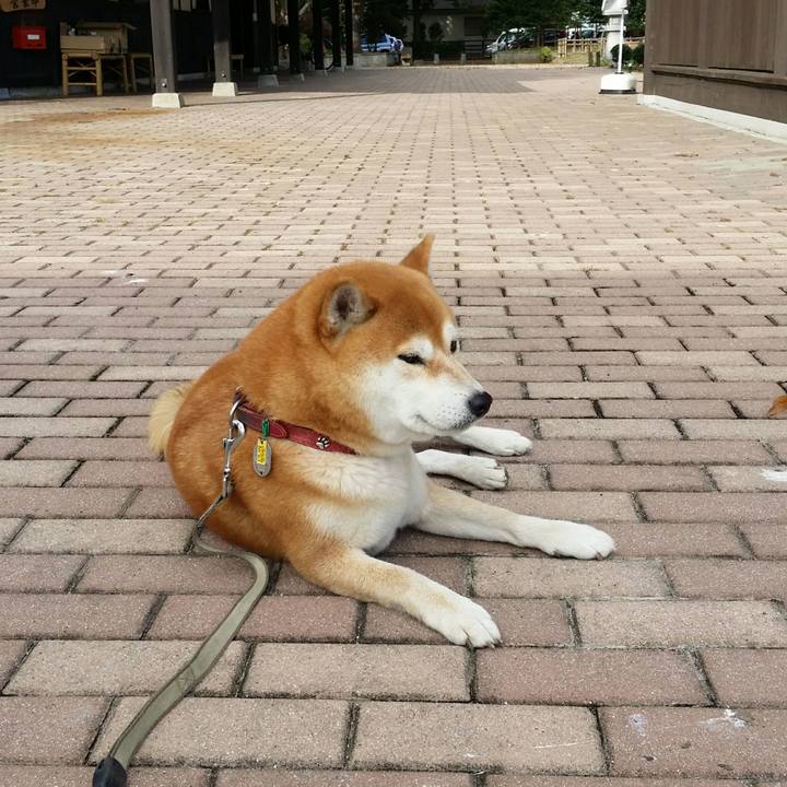 Be78153f 8270 4526 bc50 b9f7fa37030e