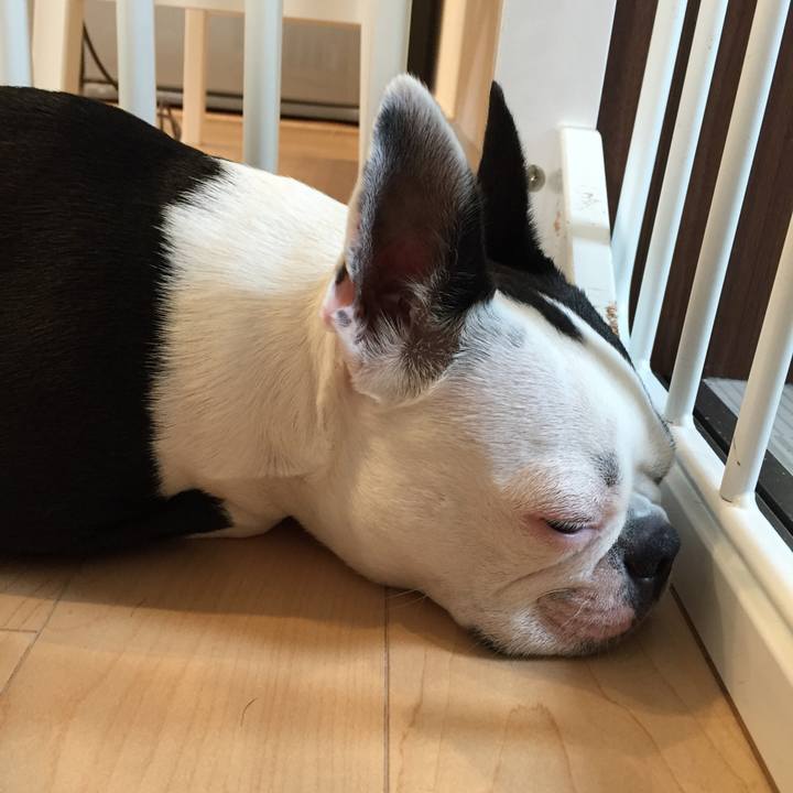 Be78a09f 0bdf 4d76 864a f958762556bd