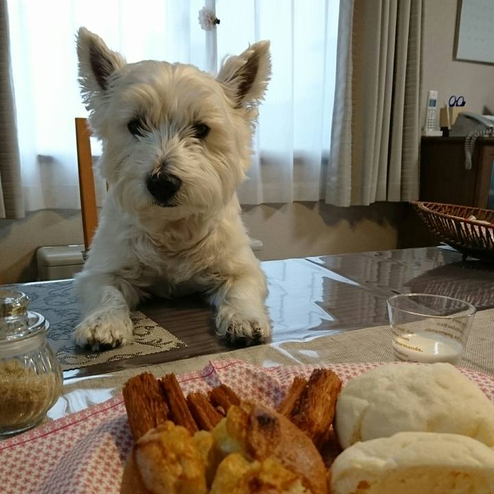 Be797f30 b3a4 42fc a1c1 a9c856311e8d