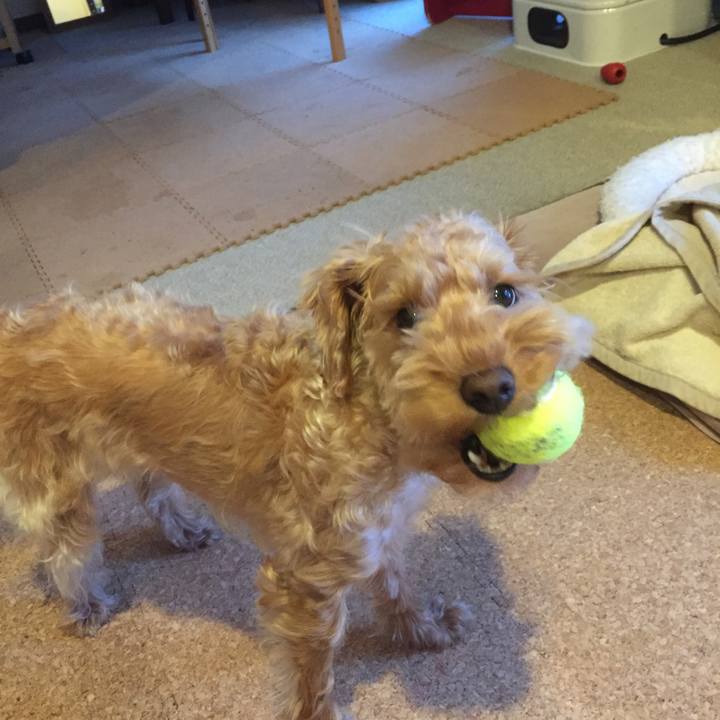 Be79a76e d7b7 4544 8adc d4295e9f1345