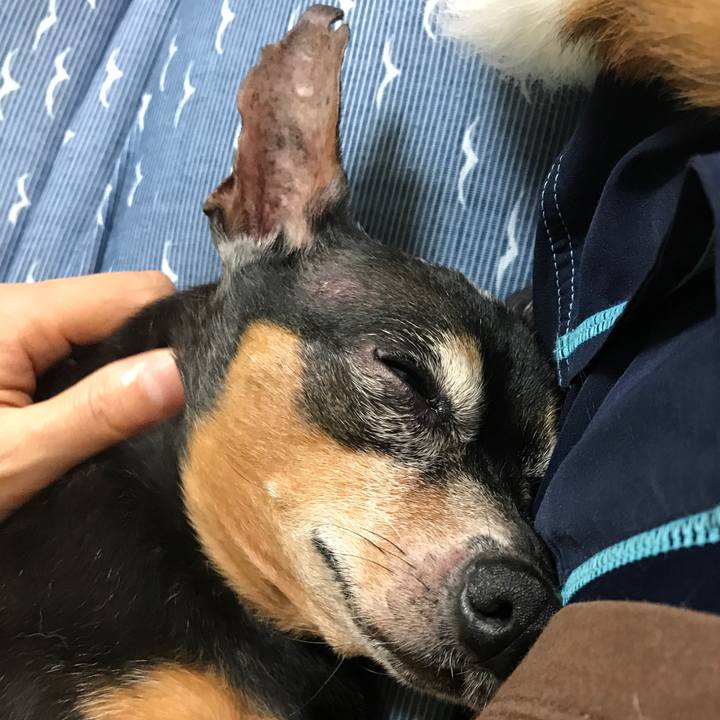 Be7b6b76 f9b8 4647 a37a 312aa60bc872