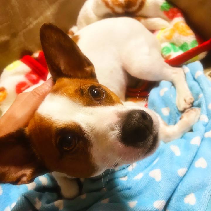 Be7bae00 cc2e 4fd9 958e 9e8c59f32bee