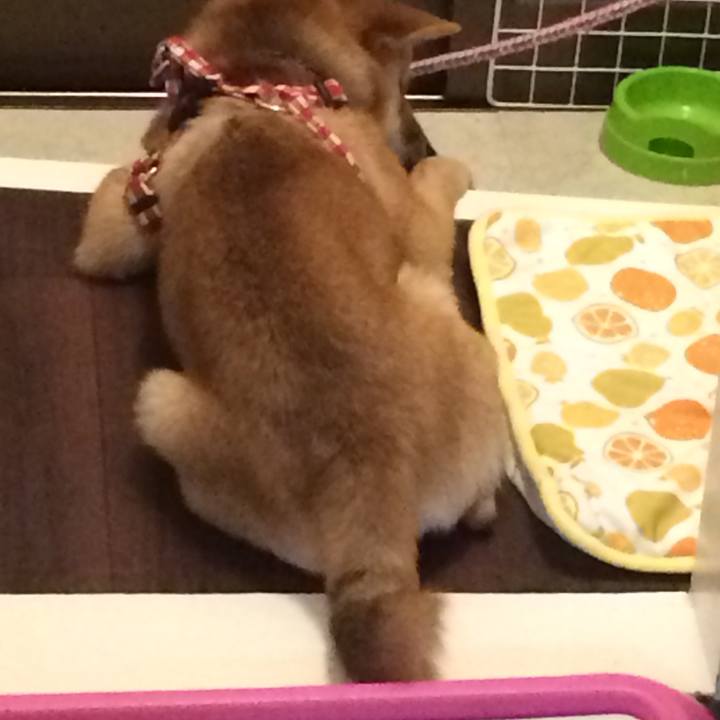 Be7bba8d a034 49e2 9e63 044fefc00c43