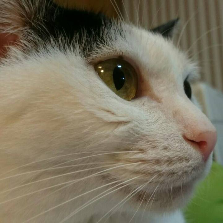 Be7c86d3 9830 4134 91cd 09ae42ccdc9b