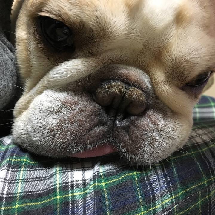 Be7c8750 2c69 4a17 b8fe 285e89981ab4