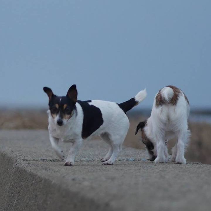 Be7d25f0 10b3 4101 a3c6 0c5efa83ba0b