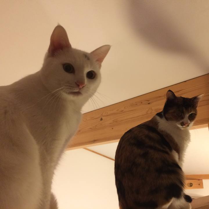 Be7e1061 8cf5 4970 ad97 114a1db8acb6