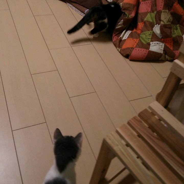 Be7e4894 9f2d 40b1 b7b9 33baa889fa00