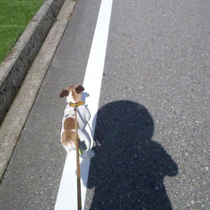 Be7e4b08 692e 4329 b9bc 3d8fb3da5d19