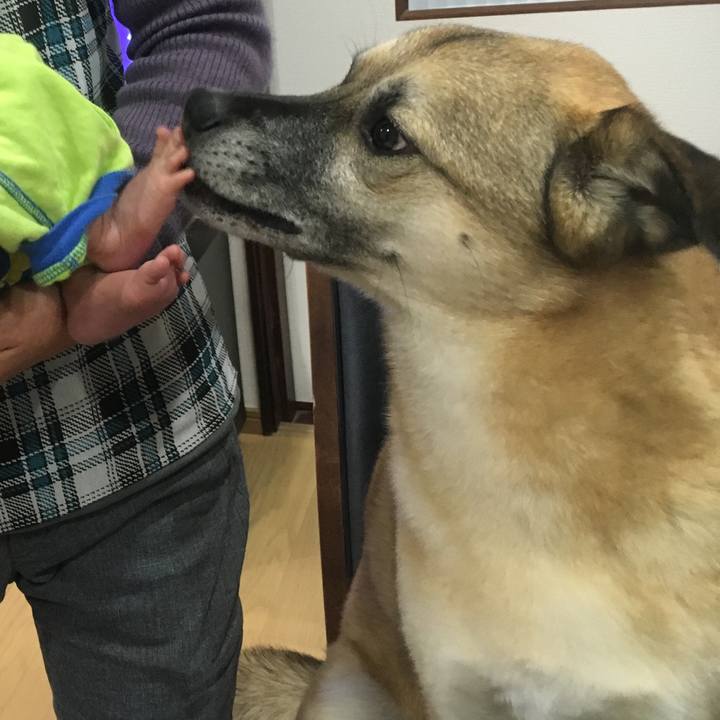 Be7e81ab a63d 4d73 a46e dab75030da9d