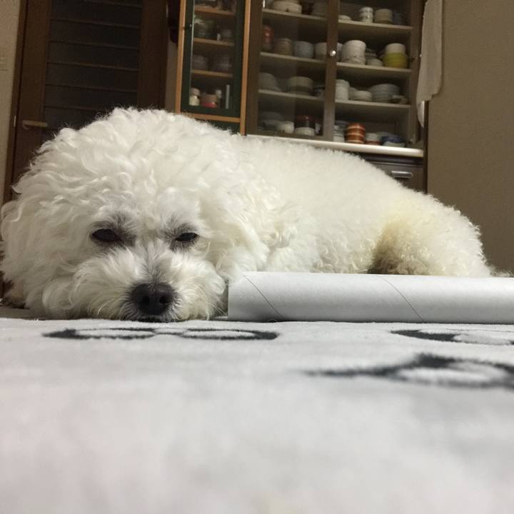 Be7e9043 820f 4dd7 afa1 35d6151eeb56