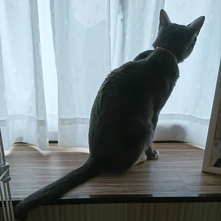 Be7eba2a 9a6e 4cd4 9ca1 4586458afe88