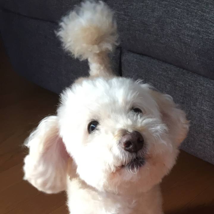 Be7ec832 d454 4175 ad45 99e36f53df62