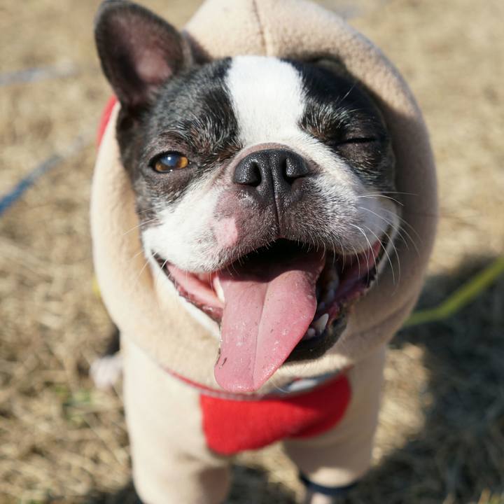 Be7f5cb8 07ca 4d88 baec 3bb11ca4dc59