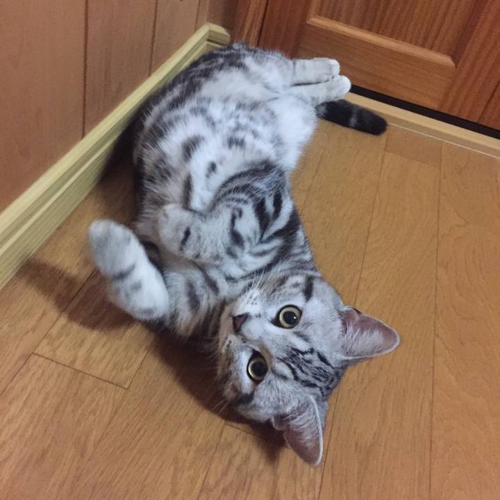 Be8059ad d532 41bd af94 490acf9335bf