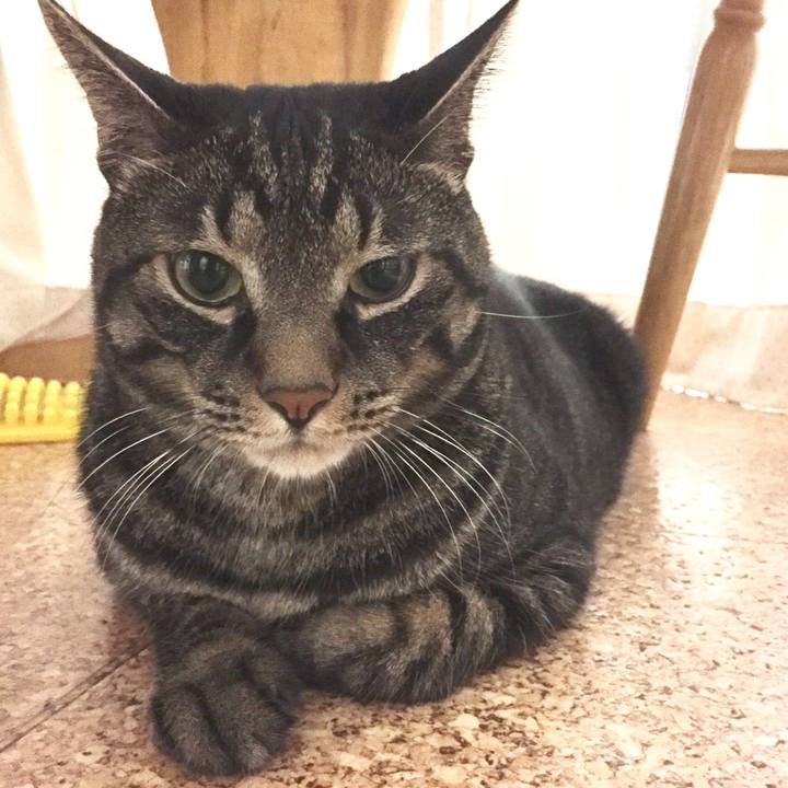 Be807956 f972 4c22 b40f b847332eb71a