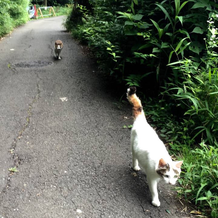 Be80cf09 01fe 4420 8428 599639a5c9a3