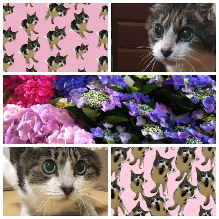 Be80d910 bc74 480a 940b d95b256ae58b