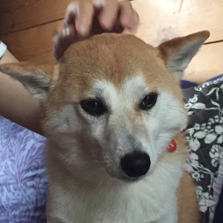 Be80fd11 e027 4b67 bf7f 718405981577