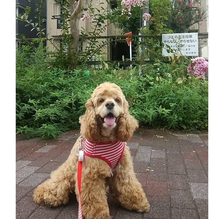 Be81389d b2b8 4641 b77c 3870565cabfa