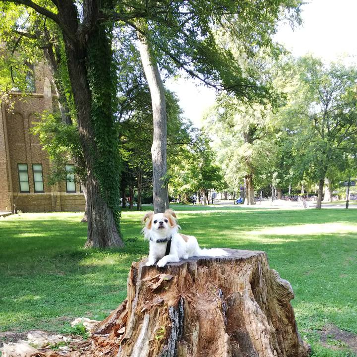 Be814642 e808 42c7 a2f5 e251caf307b8