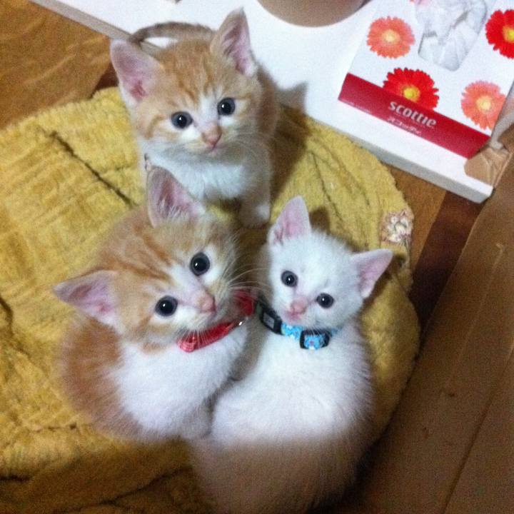 Be819836 7446 4a07 b96b 8d0c634449c5