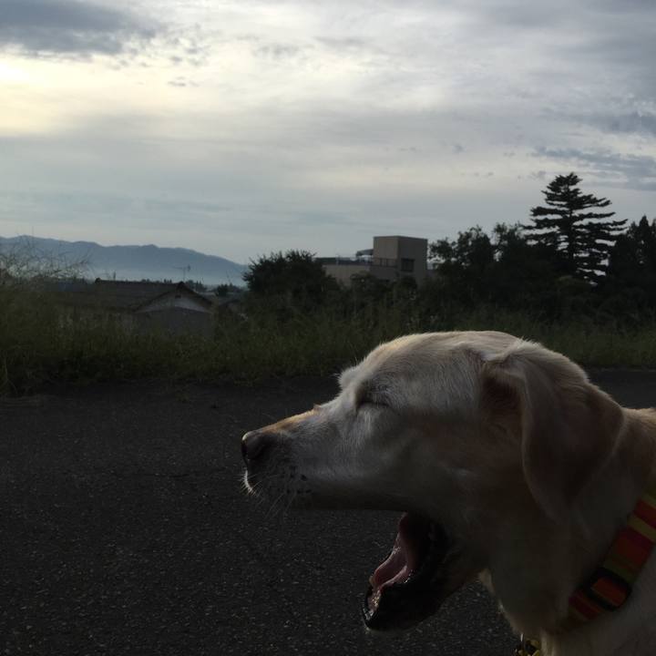 Be81a340 8a9b 424c beb6 fce4c8927989