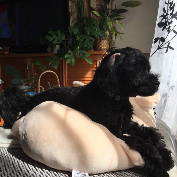 Be82485c 2125 4484 9ad9 296e806b6bf6