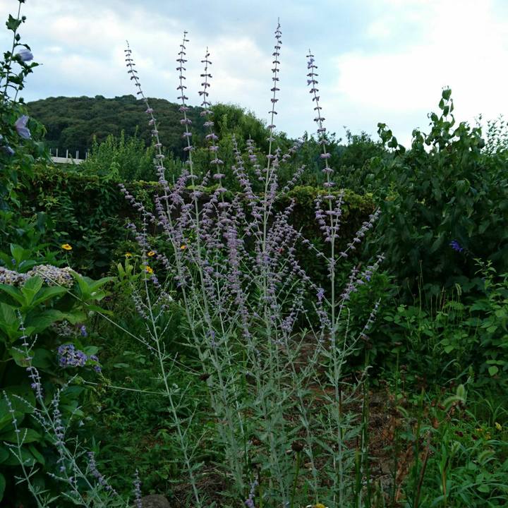 Be824ab6 1076 423a aa7d 7cf741513607