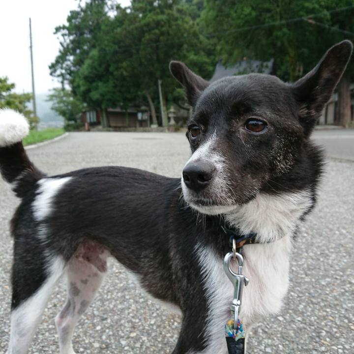 Be82c6f5 7a9f 4813 8b91 1b32f112965a