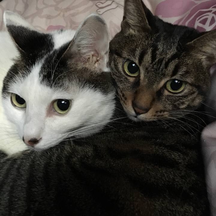 Be834513 b616 4093 b867 1f609a696570