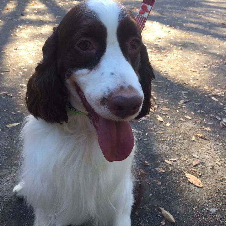 Be83cbbf 74df 448e 90ab 0b41bbed98c3