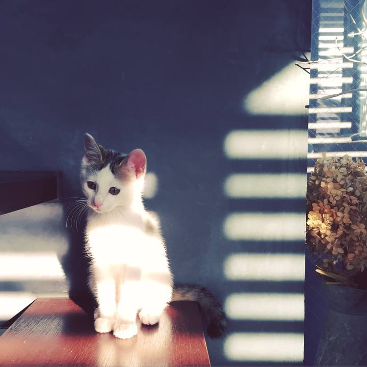 Be8459fd 5bb4 4429 b1b0 58dc87625d95