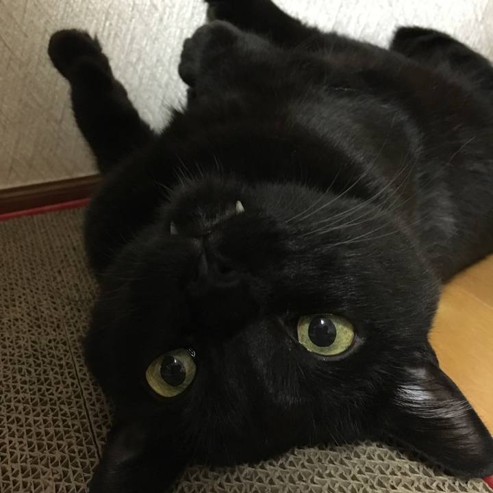 Be8504e1 8d0a 4c99 b773 e52480a089f6