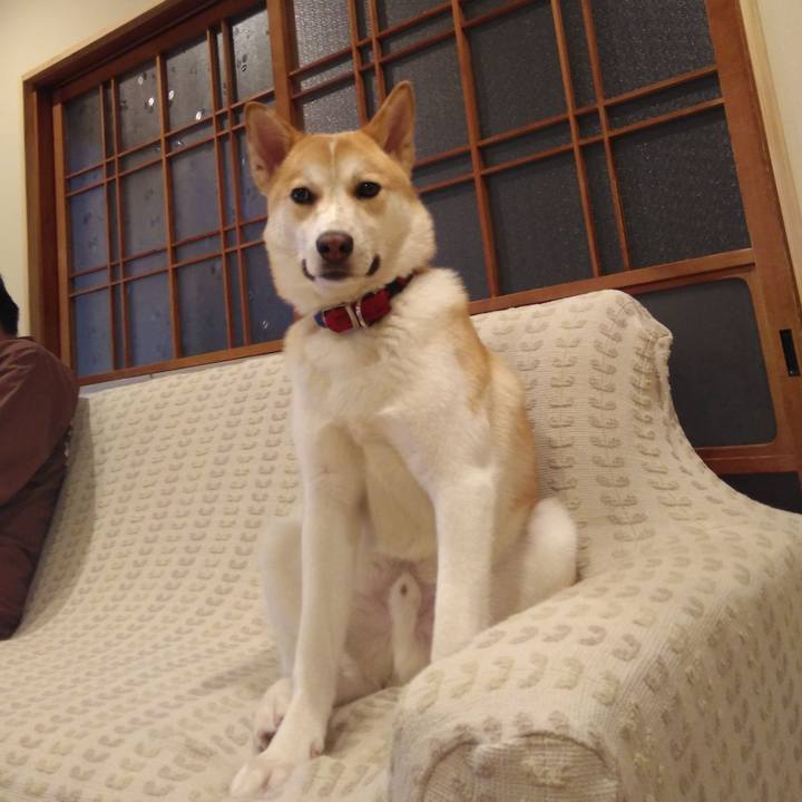 Be85199a 653e 4c3a 9886 63bb6479635f