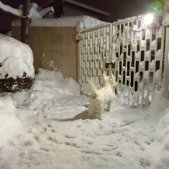 Be85b2d3 4930 4d89 bf22 32f775f11358