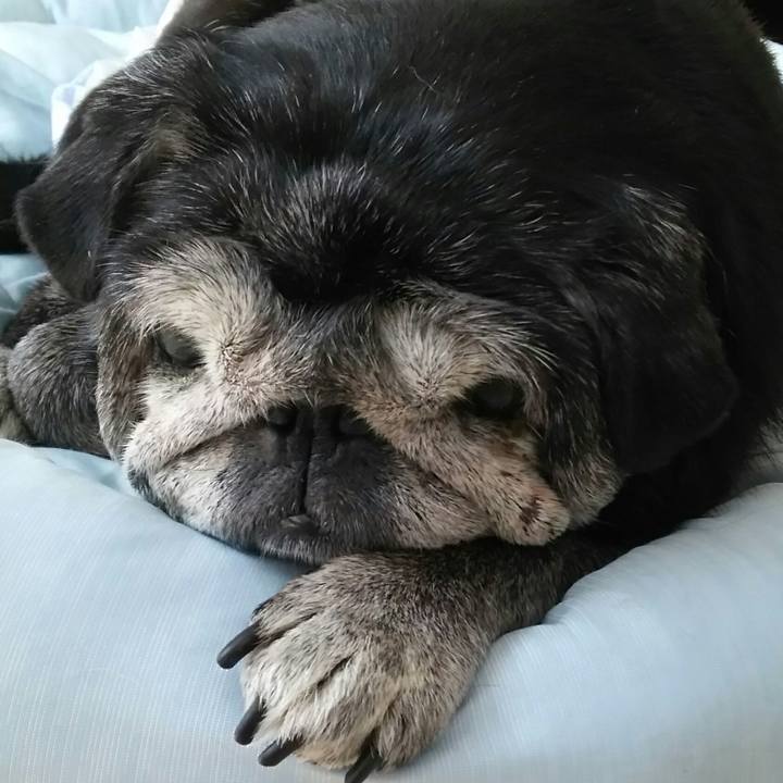 Be85bc24 e76e 4ba8 9ff9 2c747e767b76