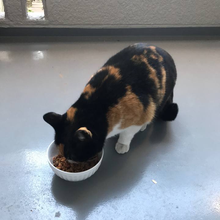 Be85fed9 a061 4775 8614 a2f03f3d1f7b