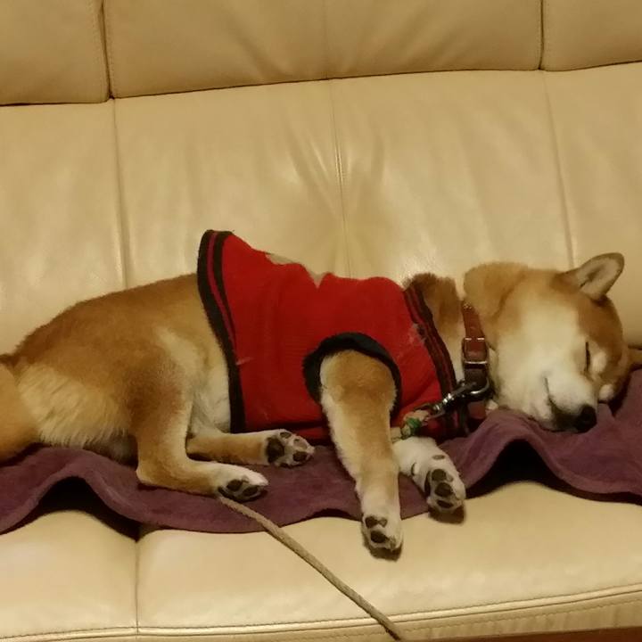 Be86694d 9d2e 4b5c b6f8 c2141e29f9de